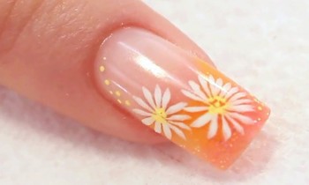 Colour French Acrylic Nail with Painted Daisies Tutorial Video by Naio Nails