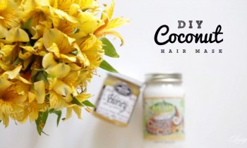 DIY Damaged Hair Repairing Coconut Mask