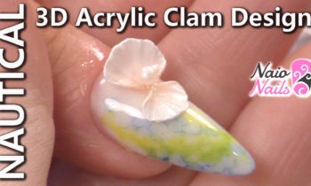 How to Create a 3D Acrylic Clam