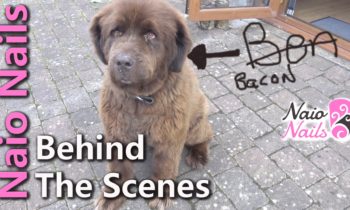 Naio Nails – Behind the Scenes +  Sneak Peek