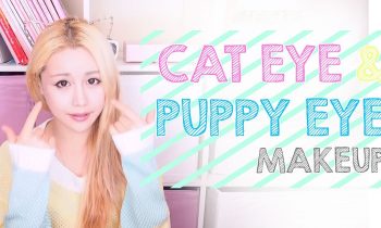 Difference between cat and puppy dog eye makeup – The Wonderful World of Wengie