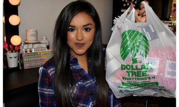 Dollar Tree Haul | September