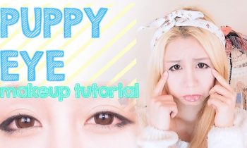 Puppy (Dog eye) Tutorial – The Wonderful World of Wengie