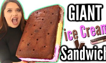 World’s Biggest Giant Ice Cream Sandwich! DIY Yummy Summer Life Hack!