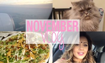 VLOG | November 2014 | Kaushal Beauty