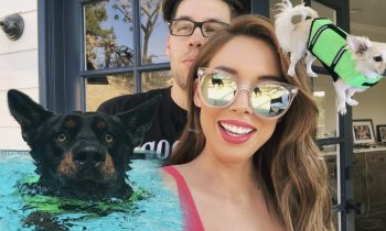 MOVING IN, ORGANIZING & TURBO SWIMMING | LUSTRELUX
