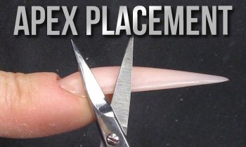 How to Create the Perfect Apex for Your Acrylic or Gel Extensions
