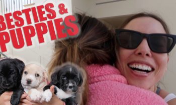 EVERYBODY’S REUNITED