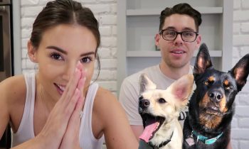 A DOG TRAINING MIRACLE | THINGS WE DIDN’T KNOW